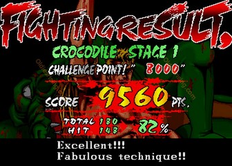 image de The First Funky Fighter